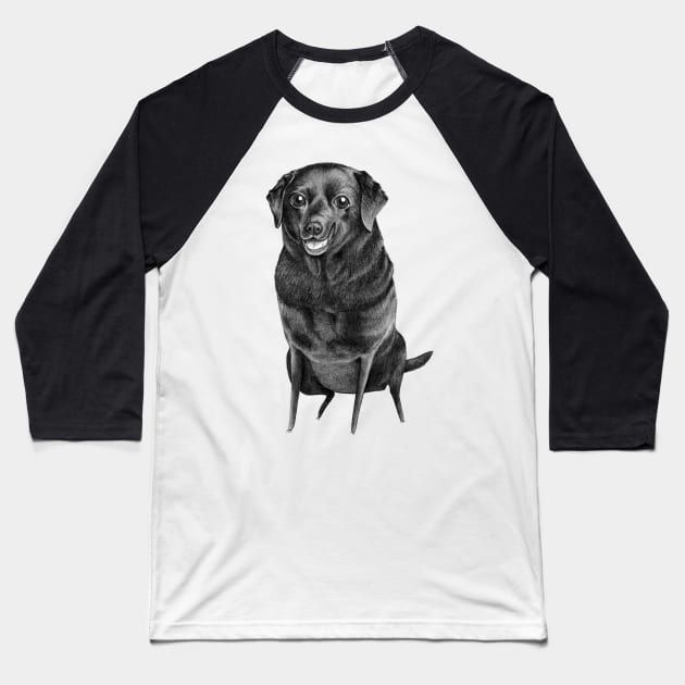 Black Labrador Baseball T-Shirt by Sophie Corrigan